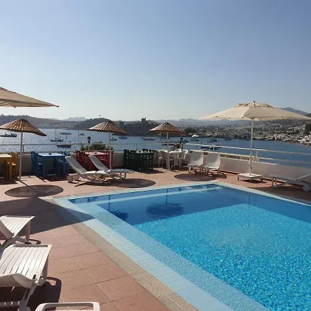 Angora Guest house 3*