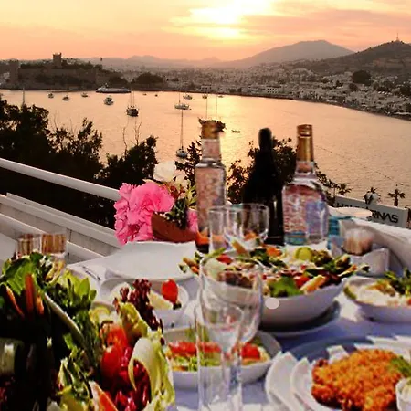 Angora Guest house