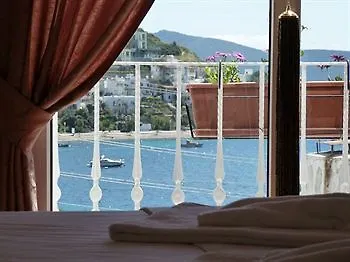 Angora Guest house 3*