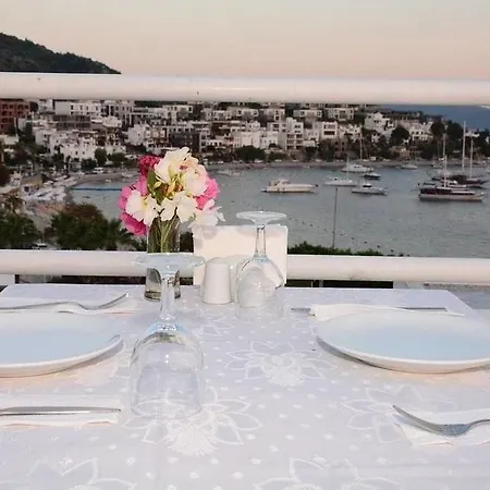 Angora Guest house