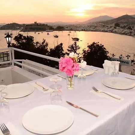 Angora Guest house 3*
