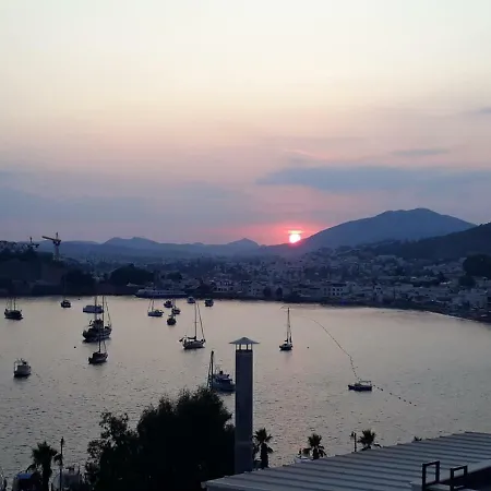 Guest house Angora 3*