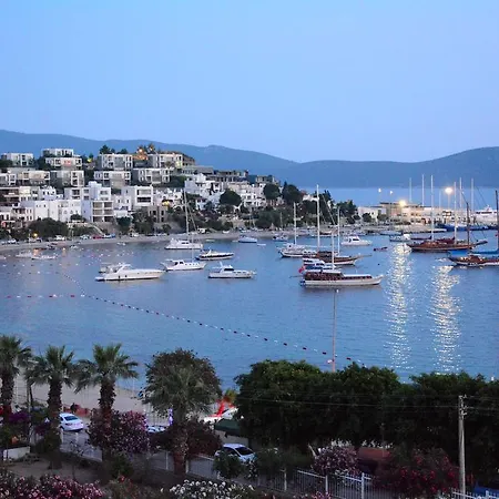 בית הארחה Angora