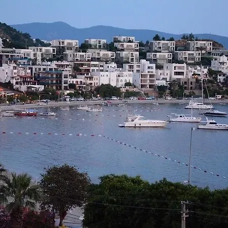 Angora בית הארחה