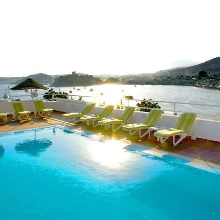 בית הארחה Angora