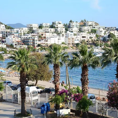 Angora בית הארחה 3*