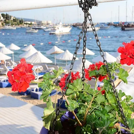 בית הארחה Angora 3*