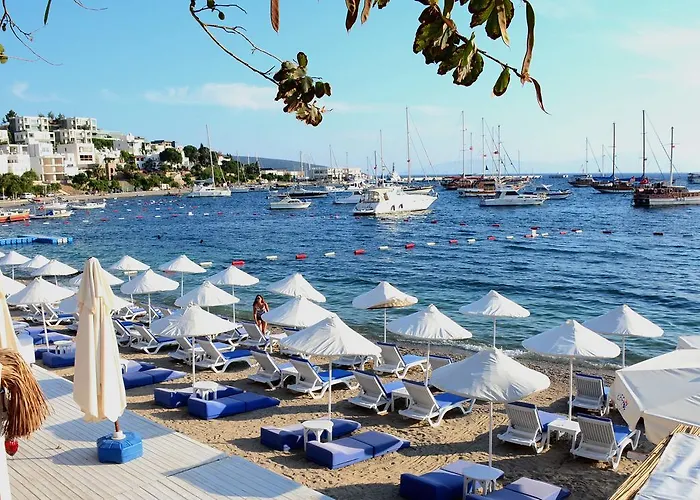 Maison d'hôtes Angora Bodrum