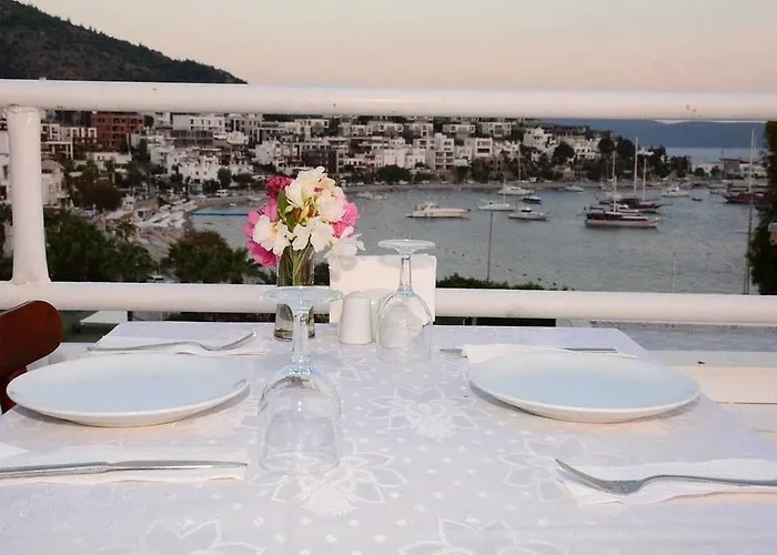 Angora Maison d'hôtes