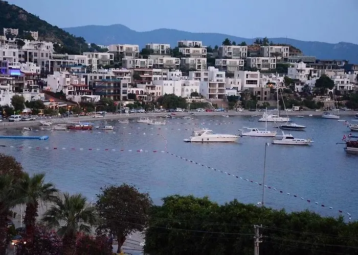 Angora Maison d'hôtes