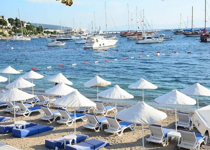 Maison d'hôtes Angora Bodrum