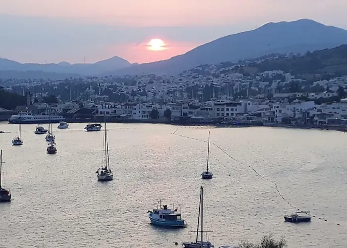 Angora Maison d'hôtes