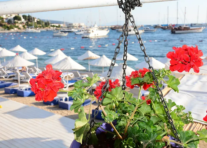 Maison d'hôtes Angora